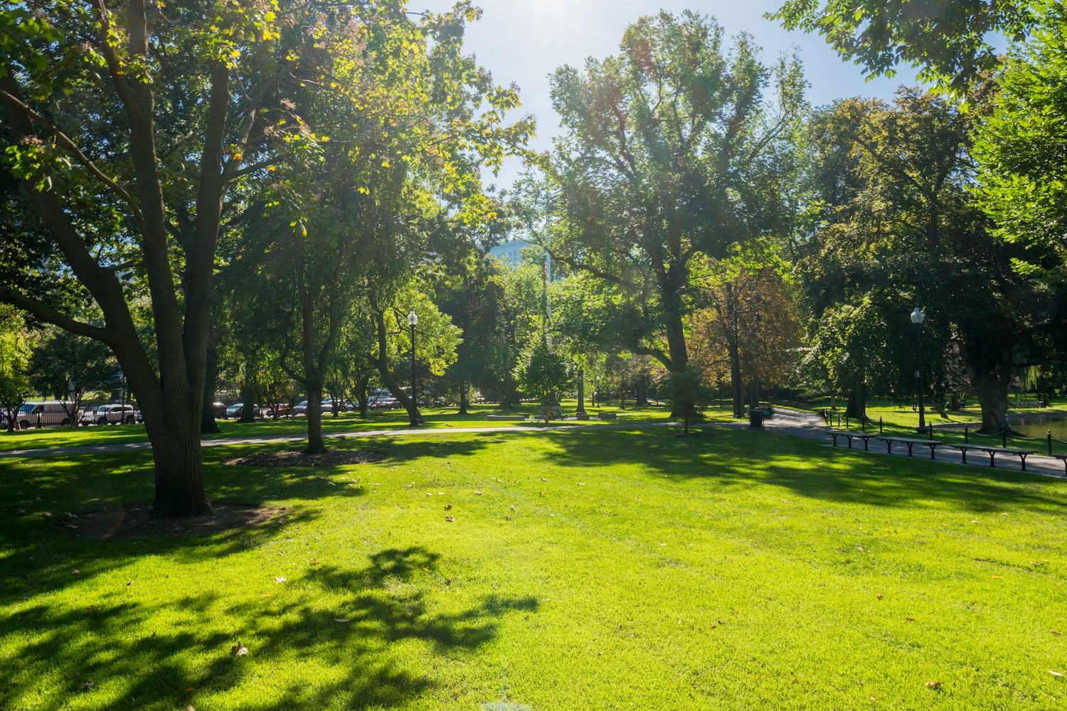 lexington parks in massachusetts